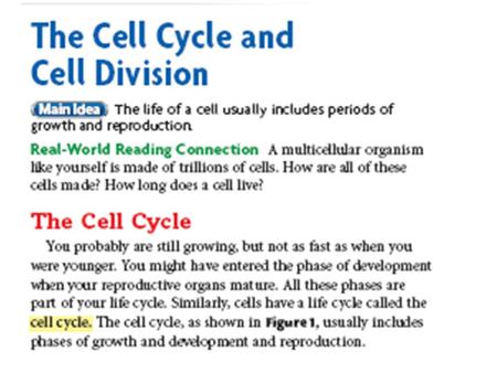 Cell Cycle 3 Steps Interphase cell growth and development