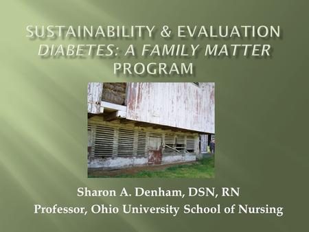 Sharon A. Denham, DSN, RN Professor, Ohio University School of Nursing.