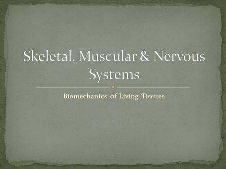 Biomechanics of Living Tissues. The Rigid Framework of the Body.