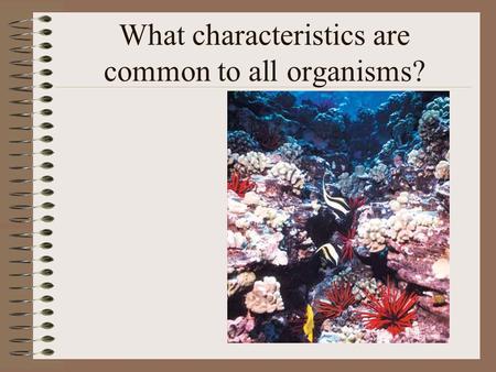 What characteristics are common to all organisms?.