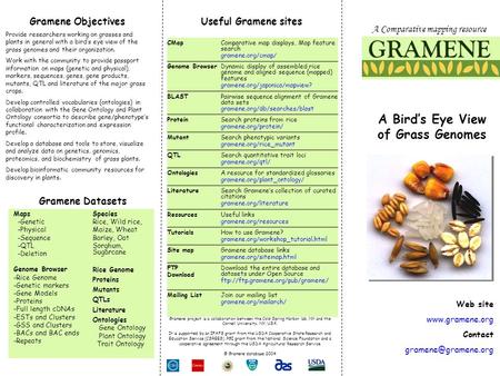 Gramene Objectives Provide researchers working on grasses and plants in general with a bird’s eye view of the grass genomes and their organization. Work.