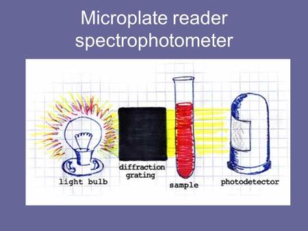 Microplate reader spectrophotometer. The Beer-Lambert Law A=abc Now let us look at the Beer-Lambert law and explore it's significance. A is absorbance.