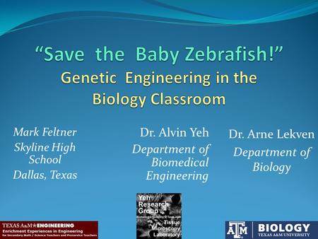 Dr. Alvin Yeh Department of Biomedical Engineering Dr. Arne Lekven Department of Biology Mark Feltner Skyline High School Dallas, Texas.