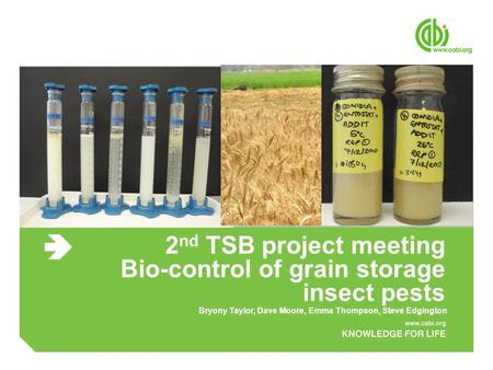 2 nd TSB project meeting Bio-control of grain storage insect pests Bryony Taylor, Dave Moore, Emma Thompson, Steve Edgington.