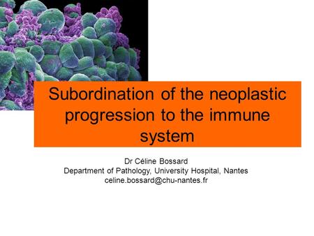 Dr Céline Bossard Department of Pathology, University Hospital, Nantes Subordination of the neoplastic progression to the.