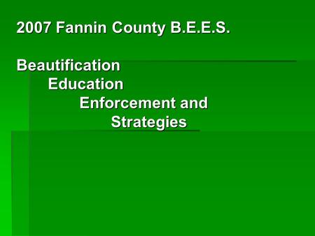 2007 Fannin County B.E.E.S. Beautification Education Enforcement and Strategies.