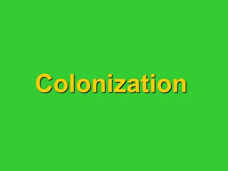 Colonization. What does religious toleration mean? Accepting of someone else’s religionAccepting of someone else’s religion.