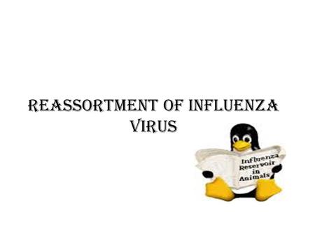 REASSORTMENT OF INFLUENZA VIRUS