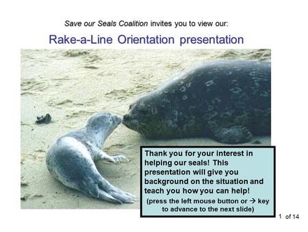 Of 14 1 Thank you for your interest in helping our seals! This presentation will give you background on the situation and teach you how you can help! (press.