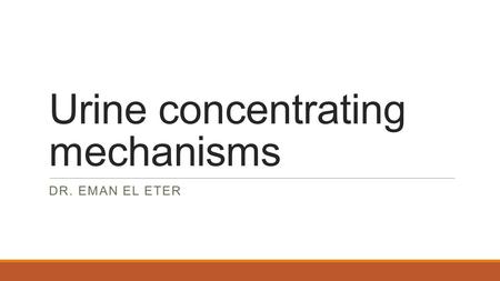 Urine concentrating mechanisms