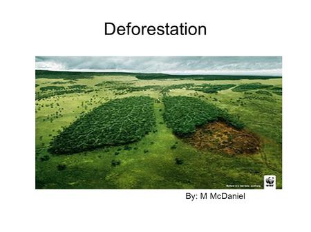 Deforestation By: M McDaniel. What are the important objects in the image? The colors are very distinct. The different shades of green make it easy to.