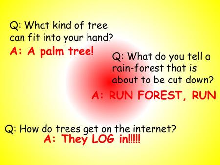 A: A palm tree! A: RUN FOREST, RUN A: They LOG in!!!!!