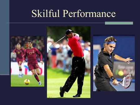 Skilful Performance.