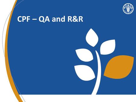 CPF – QA and R&R. CPF Cycle UNDAF Road Map UNDAF Country Analysis UNDAF Strategic prioritization UNDAF M&E UNDAF results matrix CPF CYCLECPF CYCLE.