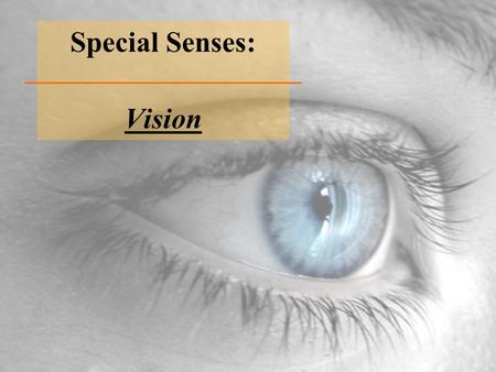 Special Senses: Vision