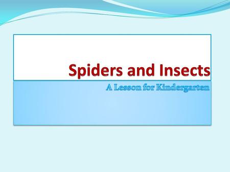 Spiders Spiders have two body parts, the head and the abdomen. Spiders do not have antennae.