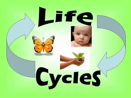 Do you look the same as you did when you were younger? Or the same as your parents? Of course not! As you get older, you go through changes. Most living.