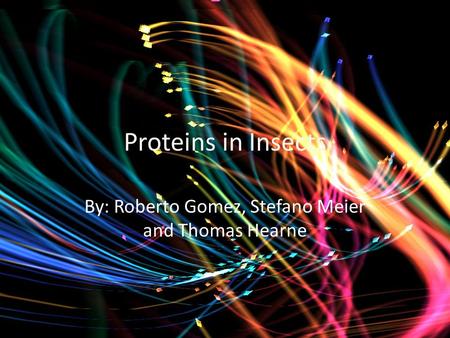 Proteins in Insects By: Roberto Gomez, Stefano Meier and Thomas Hearne.