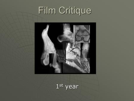 Film Critique 1st year.