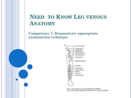 N EED TO K NOW L EG VENOUS A NATOMY Competency 1- Demonstrate appropriate examination technique  q8vipI/AAAAAAAAFeg/SplD_bhoS60/s1600/nic_k20_999.jpg.