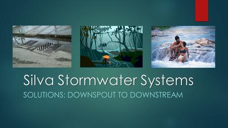 Silva Stormwater Systems SOLUTIONS: DOWNSPOUT TO DOWNSTREAM.