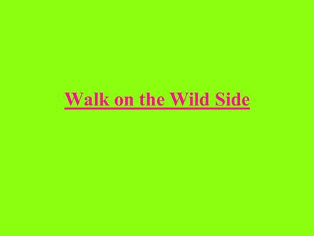 Walk on the Wild Side The Precursors of Punk “If the mainstream of rock seemed rebellious to those on the outside looking in, the sixties losers were.