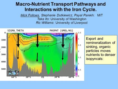 Macro-Nutrient Transport Pathways and Interactions with the Iron Cycle. Export and remineralization of sinking, organic particles moves nutrients to denser.