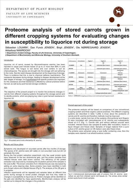 D E P A R T M E N T O F P L A N T B I O L O G Y F A C U L T Y O F L I F E S C I E N C E S U N I V E R S I T Y O F C O P E N H A G E N Proteome analysis.