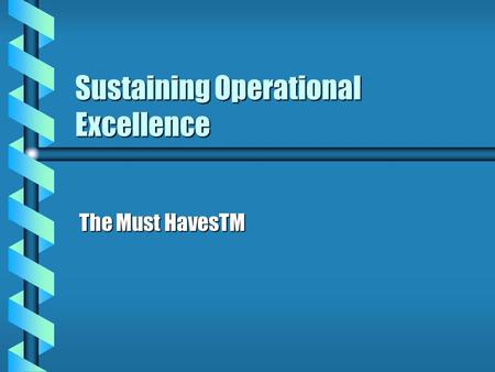 Sustaining Operational Excellence The Must HavesTM.