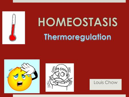 Louis Chow. Homeostasis  The ability of the body to maintain a constant internal environment despite fluctuations in both the body’s activities and the.