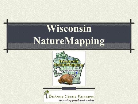 Wisconsin NatureMapping. Schmidt,CBM, 10/06 Beaver Creek Reserve NatureMapping Introduction How to Submit Observations How to View Observations Become.