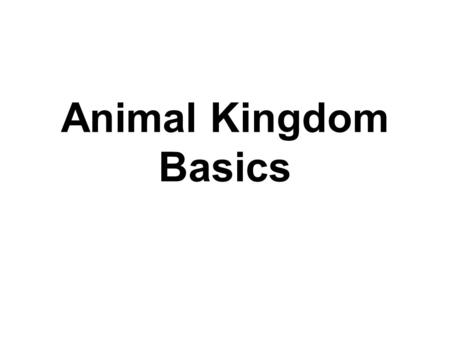 Animal Kingdom Basics. Body Areas Head Back Tail end Belly.