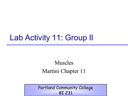 Lab Activity 11: Group II Muscles Martini Chapter 11 Portland Community College BI 231.