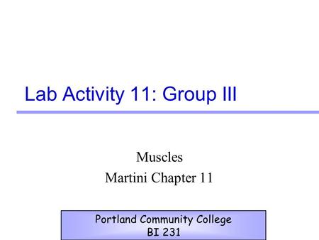 Lab Activity 11: Group III