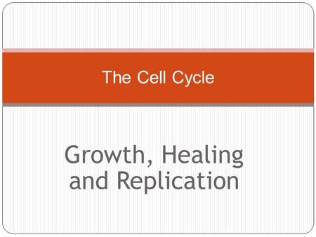 Growth, Healing and Replication The Cell Cycle. We are constantly producing cells! 300 million new cells a minute… But that’s not easy to see! FACT: