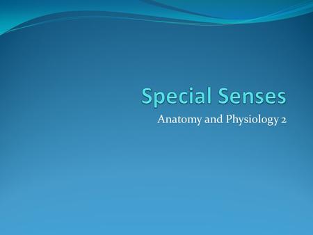 Anatomy and Physiology 2. The Special Senses Smell Taste Sight Hearing These allow us to experience and interpret the world around us.