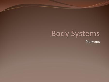 Nervous. Function command unit provides senses sends signal between body and brain Responds to internal and external stimuli.