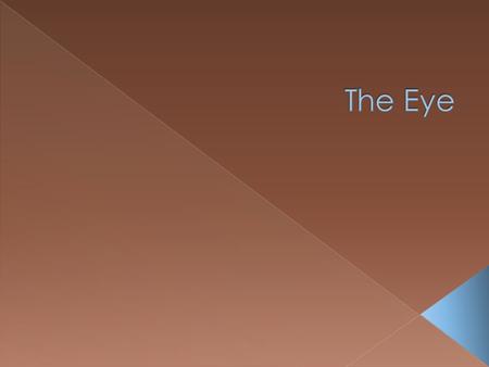  The lens of the eye is a transparent object behind the iris that changes shape to help adjust the eye's focus to see near or distant objects.