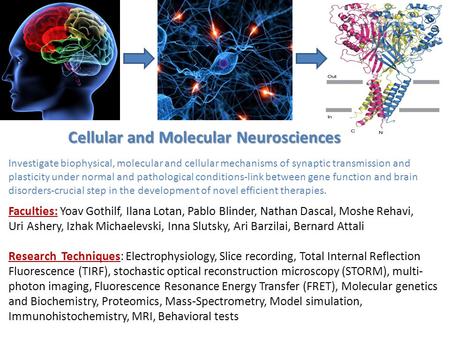 Investigate biophysical, molecular and cellular mechanisms of synaptic transmission and plasticity under normal and pathological conditions-link between.