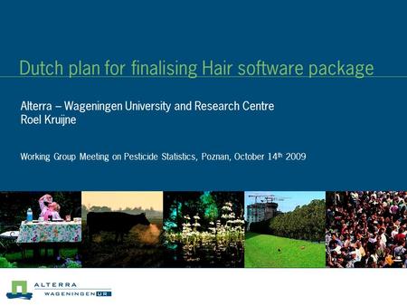 Dutch plan for finalising Hair software package Alterra – Wageningen University and Research Centre Roel Kruijne Working Group Meeting on Pesticide Statistics,