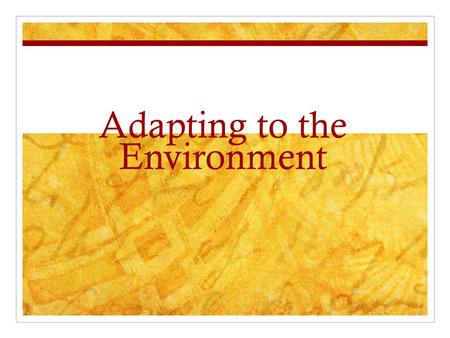 Adapting to the Environment. Adapting to the Environment Chapter 3 – Section 1 Asexual reproduction : reproduction that does not involve the union of.