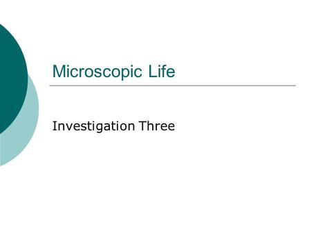 Microscopic Life Investigation Three. Elodea  Elodea is a aquatic plant.  Turn to page 15 in your packet. Read directions.  Create a wet mount of the.