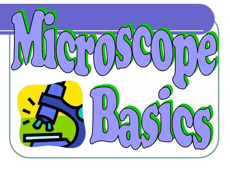 Body Tube Nosepiece Objectives Stage Clips Light Ocular lens (Eyepiece) Arm Stage Coarse Adjustment Fine Adjustment Always carry a microscope with one.