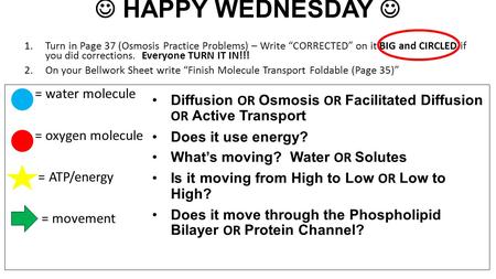 HAPPY WEDNESDAY 1.Turn in Page 37 (Osmosis Practice Problems) – Write “CORRECTED” on it BIG and CIRCLED if you did corrections. Everyone TURN IT IN!!!