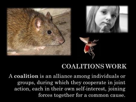 COALITIONS WORK A coalition is an alliance among individuals or groups, during which they cooperate in joint action, each in their own self-interest, joining.