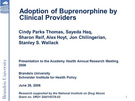 1 Presentation to the Academy Health Annual Research Meeting 2006 Brandeis University Schneider Institute for Health Policy June 26, 2006 Research supported.