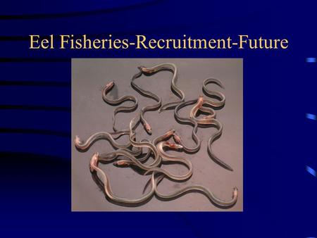 Eel Fisheries-Recruitment-Future. Decline of Eel Populations??? Outside safe Biological limits? How are we influencing change? Can we manage the population.