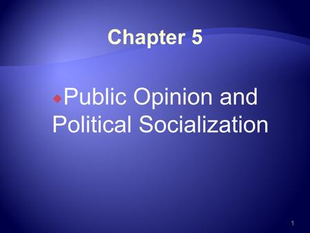 Public Opinion and Political Socialization