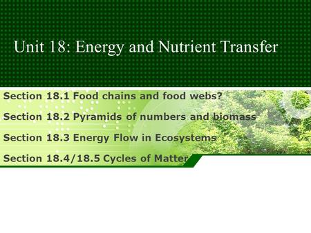 Unit 18: Energy and Nutrient Transfer Section 18.1 Food chains and food webs? Section 18.2 Pyramids of numbers and biomass Section 18.3 Energy Flow in.