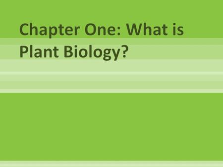  Plants make up more than 98% of total biomass on Earth  They produce oxygen, produce food for all living things, and remove large amounts of CO2 from.